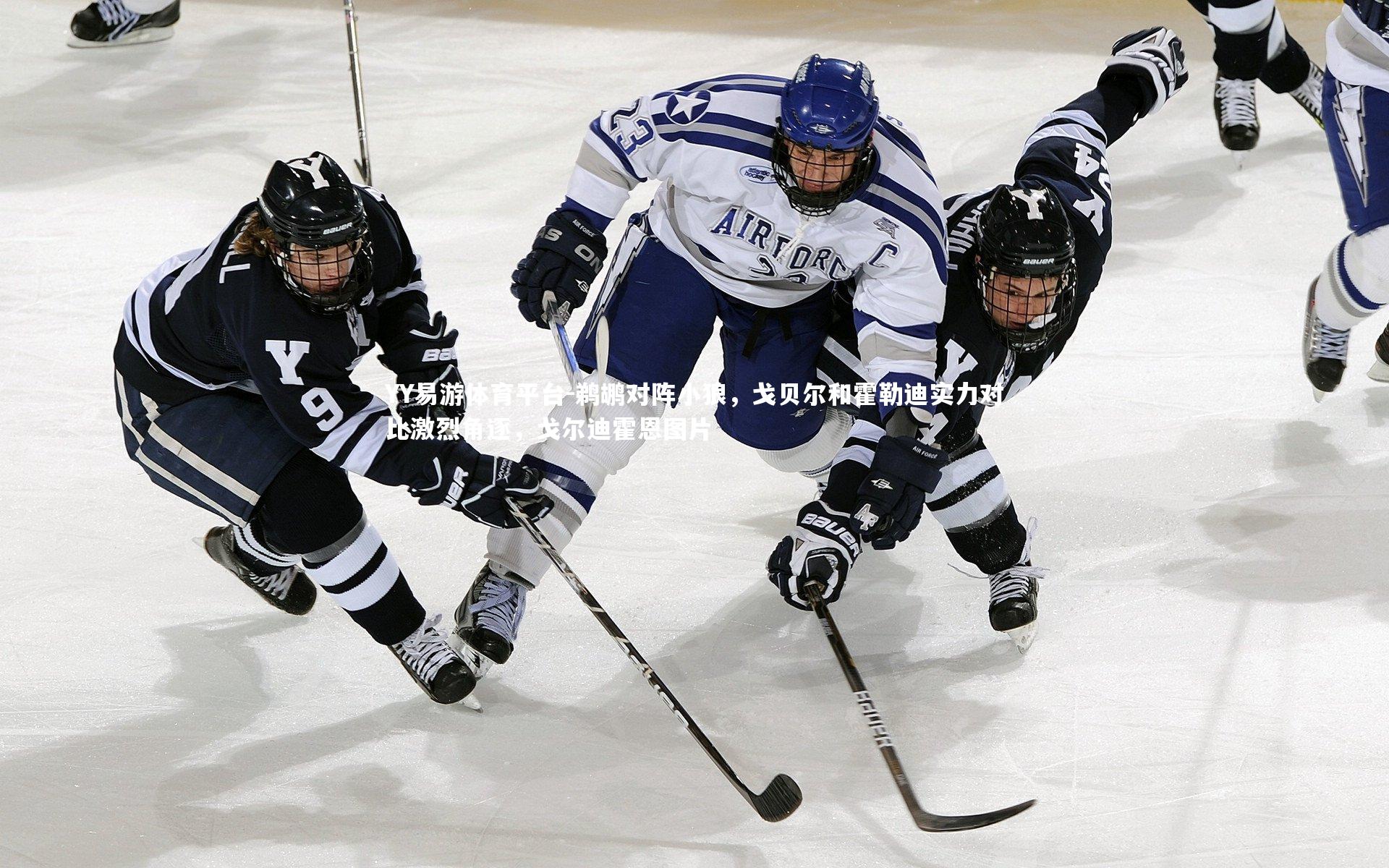 鹈鹕对阵小狼，戈贝尔和霍勒迪实力对比激烈角逐，戈尔迪霍恩图片